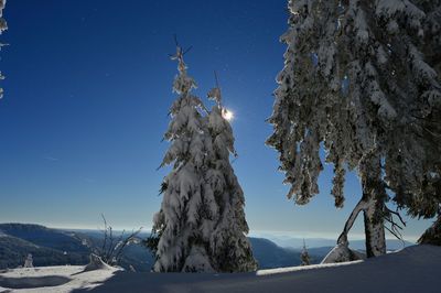 Panoramic view of trees against sky during winter