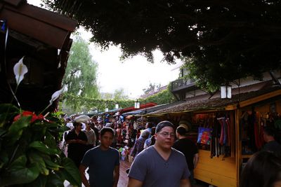 Men in front of a tree
