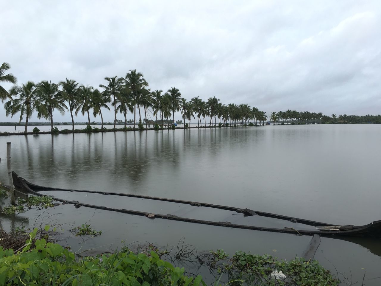 water, sky, tranquility, tranquil scene, tree, scenics, cloud - sky, lake, beauty in nature, nature, cloudy, growth, cloud, idyllic, calm, non-urban scene, plant, outdoors, day, no people, remote, lakeshore, overcast, non urban scene, weather, standing water, landscape, rippled