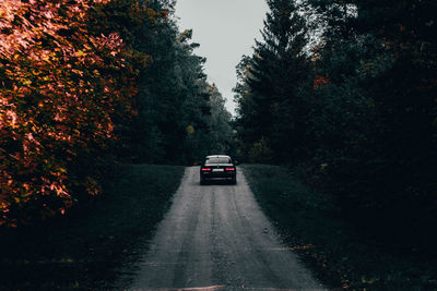 Car on road amidst trees against sky