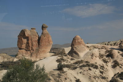 Nature sculpture of camel