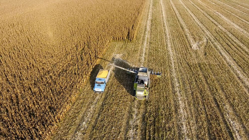 Tractors working on agricultural field