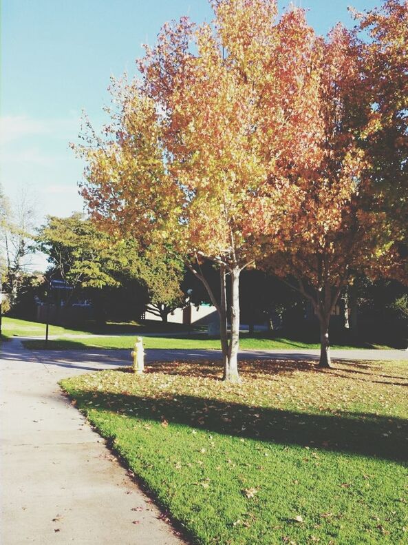 University Of California, Santa Barbara (UCSB)