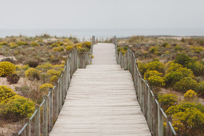 Boardwalk amidst water against clear sky