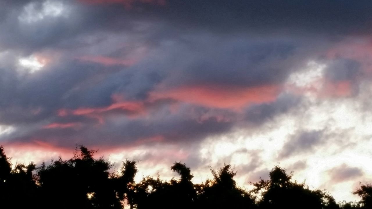 sky, silhouette, tree, cloud - sky, scenics, beauty in nature, tranquility, sunset, tranquil scene, low angle view, cloudy, nature, dramatic sky, cloud, weather, idyllic, overcast, cloudscape, dusk, atmospheric mood