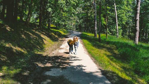 Rear view of people walking on road in forest