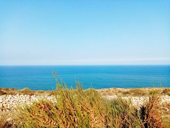 Scenic view of sea against clear sky