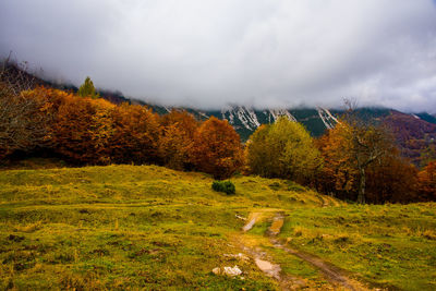 Scenic view of landscape against sky during autumn