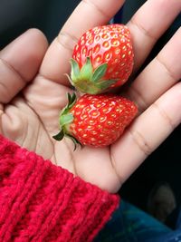 Fresh sweet japan strawberries