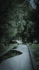 Road amidst trees against sky