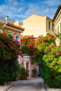 Street with a lot of flowers in plaka neighbourhood of athens, greece.