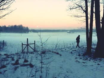 Scenic view of tree during winter