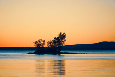 Silhouette tree by sea against orange sky