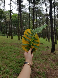 Midsection of man holding tree trunk in forest