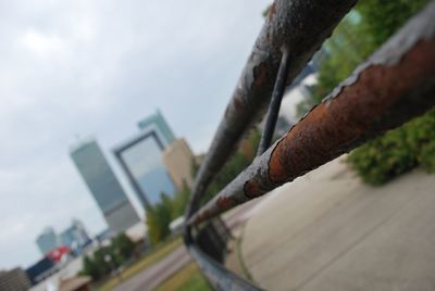 Close-up of tree against blurred background