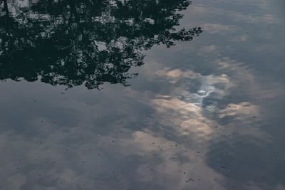 High angle view of tree by lake against sky