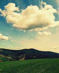 Scenic view of field against sky