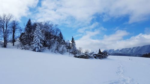 Trees on snow covered landscape against sky