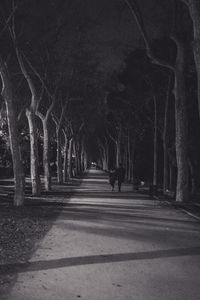 Person walking on footpath amidst trees in city