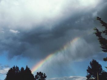 Low angle view of rainbow over trees against sky