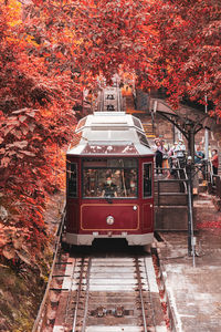 Red train against trees during autumn