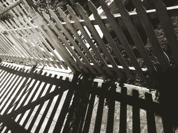 Shadow of tree on the wall