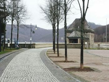 Empty road along bare trees