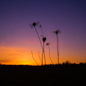 A beautiful spring sunrise with colorful skies.