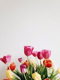 Close-up of red flowers against blurred background