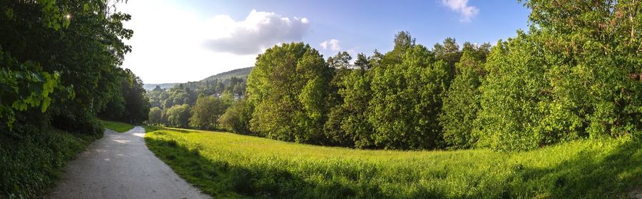 Panoramic view of road amidst trees against sky