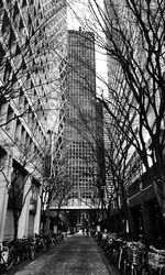 Low angle view of tree against sky in city