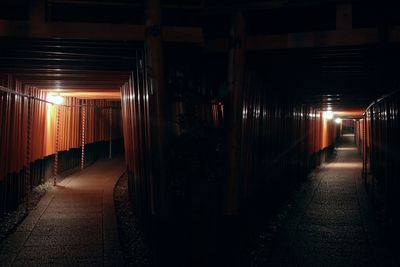 Empty illuminated torii gates at night