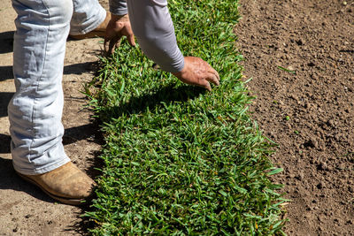 Low section of man working on field