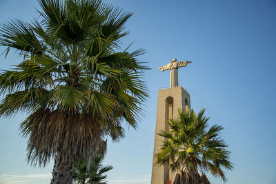 Low angle view of palm trees against clear sky