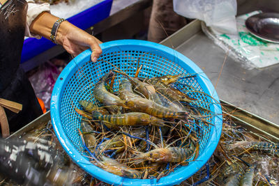 Fresh-caught seafood for sale at a street market