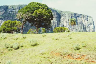 Scenic view of landscape against sky