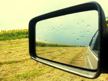 View of rural landscape with trees in background