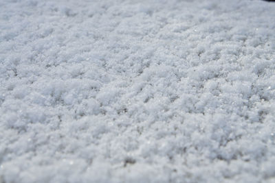 Close-up of snow on land