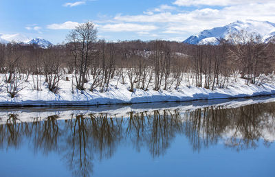 River, volcano, snow-covered forest and blue sky in early spring