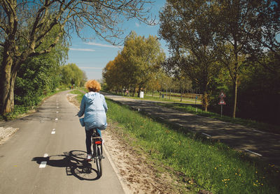 Rear view of woman riding bicycle during sunny day