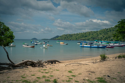 Boats moored on sea against sky