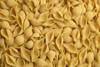 Conchiglie shells or seashells pasta wallpaper. spiral raw macaroni. uncooked pasta. food background