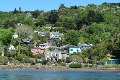 Trees and houses by river against buildings