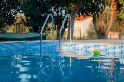 Trees by swimming pool