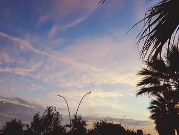 Palm trees against sky during sunset