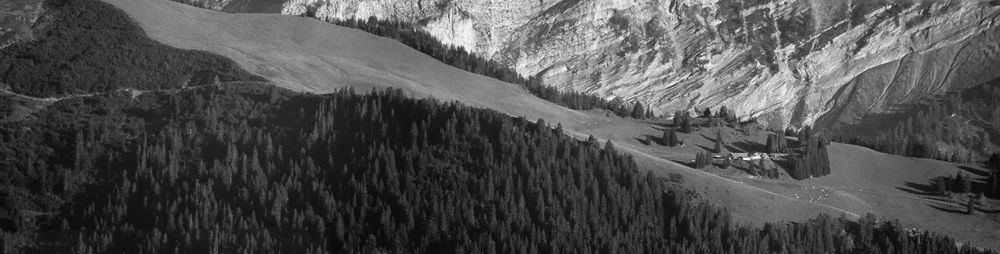mountain