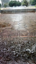 Close-up of wet puddle on rainy day