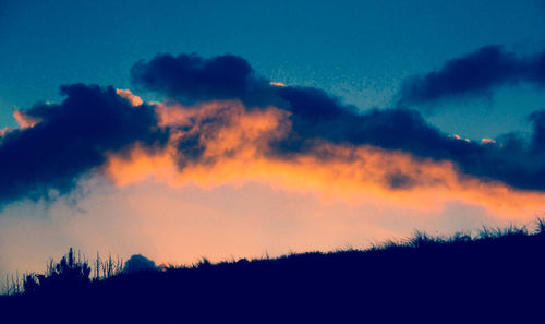 Low angle view of silhouette trees against sky