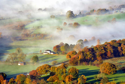 Scenic view of autumn trees during foggy weather