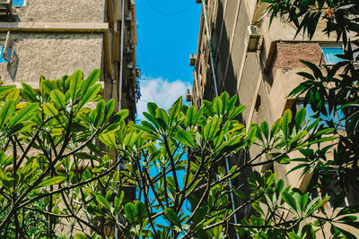 Low angle view of building against blue sky